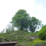Zur Rose 게스트하우스 바트 페테르스탈-그리스바흐